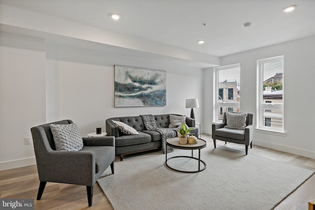 living room with light hardwood / wood-style flooring