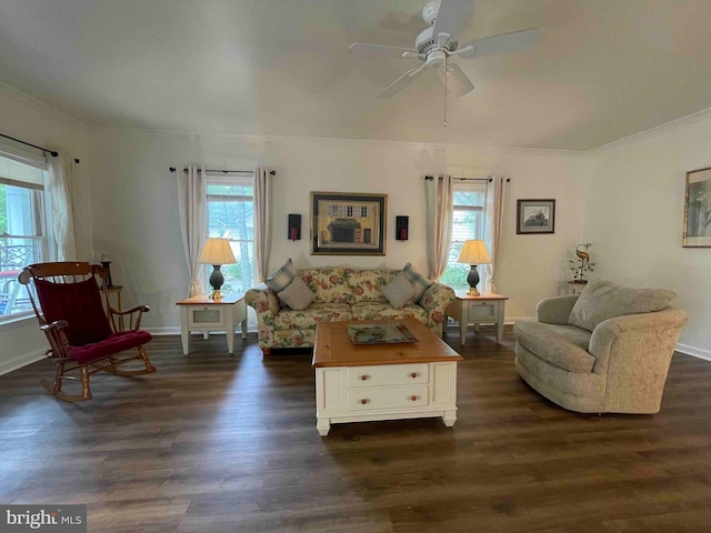 living room with ceiling fan, ornamental molding, plenty of natural light, and dark hardwood / wood-style flooring