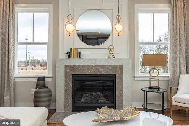 living room featuring a fireplace and hardwood / wood-style floors