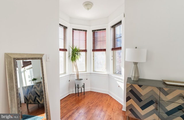 interior space featuring hardwood / wood-style flooring