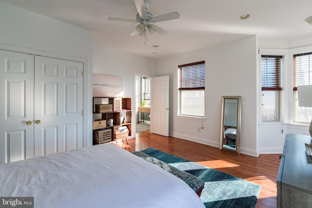 bedroom with multiple windows, dark hardwood / wood-style flooring, and ceiling fan