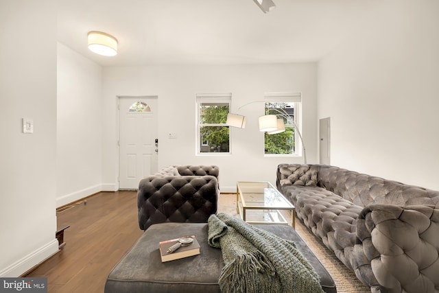 living room featuring hardwood / wood-style floors