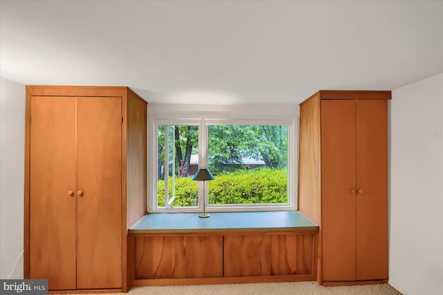 interior space featuring light colored carpet