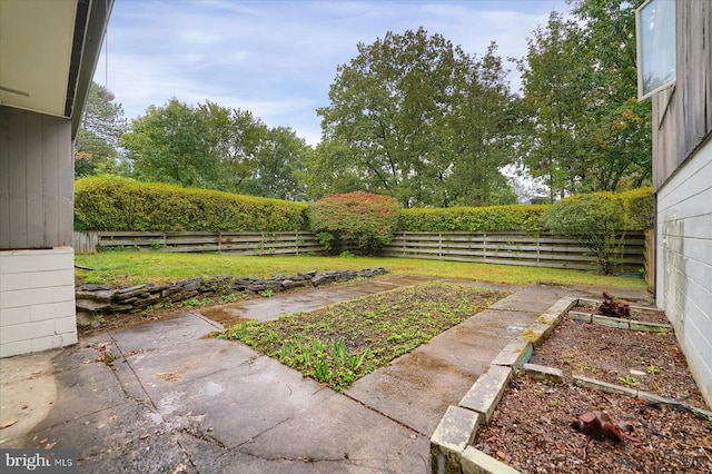 view of yard with a patio area