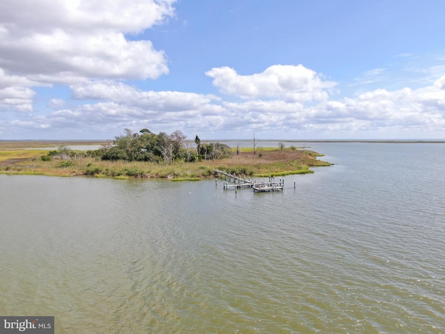 water view featuring a dock