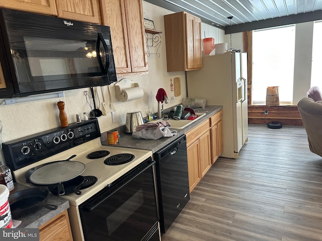 kitchen with light wood-type flooring, black appliances, and floor to ceiling windows