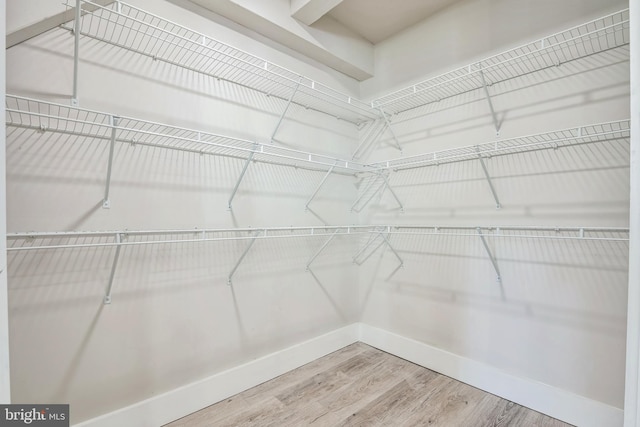 walk in closet featuring hardwood / wood-style floors