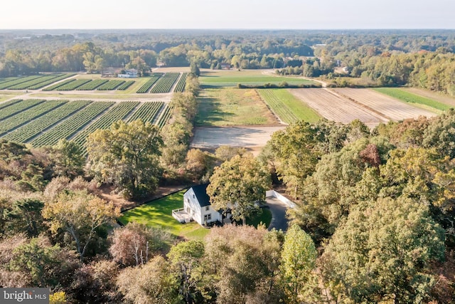 aerial view with a rural view