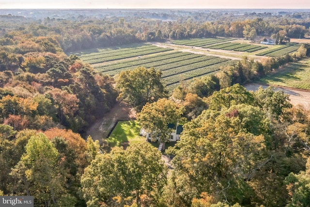 birds eye view of property featuring a rural view