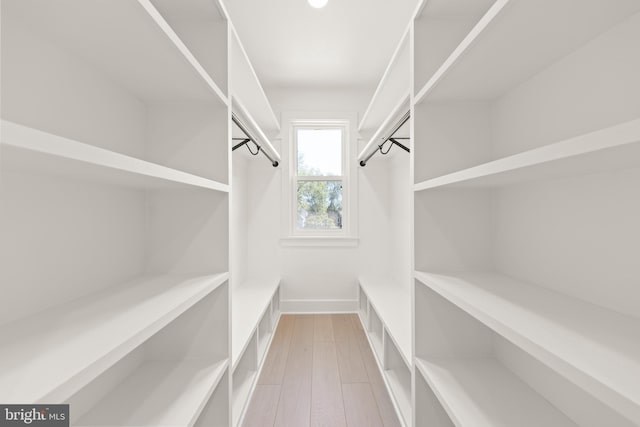 walk in closet featuring light hardwood / wood-style floors