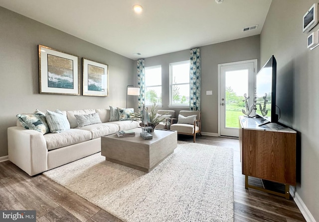 living room with dark wood-type flooring