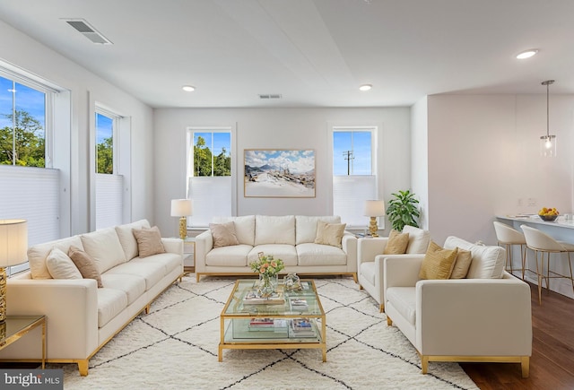 living room featuring light hardwood / wood-style floors