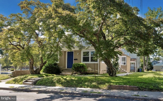 obstructed view of property with a front yard