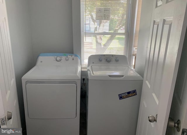 laundry room featuring washing machine and clothes dryer