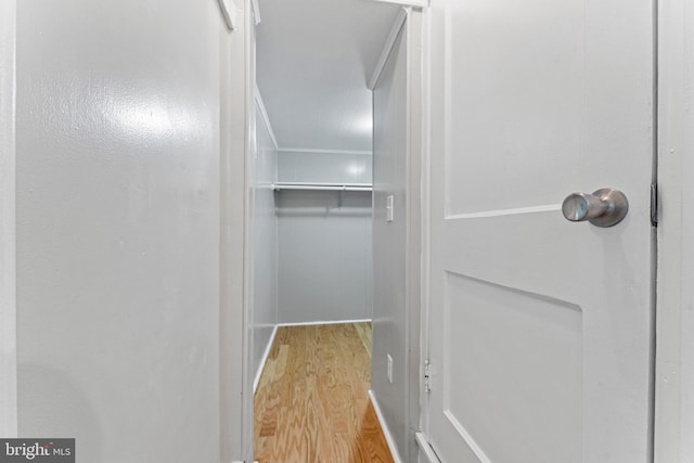 spacious closet with hardwood / wood-style flooring