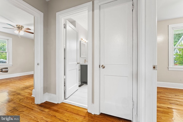 hall featuring wood-type flooring and a healthy amount of sunlight