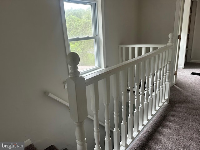 stairs with carpet