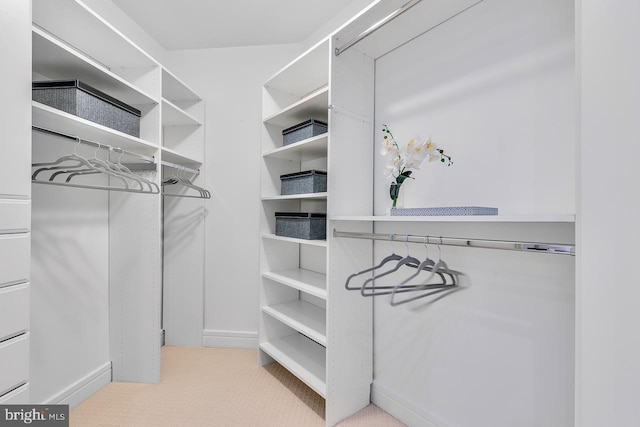 spacious closet featuring light carpet