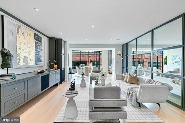 living room featuring a wall of windows, plenty of natural light, and light wood-type flooring