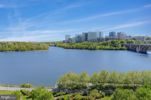 property view of water