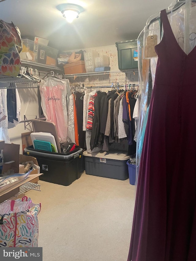 spacious closet with carpet floors