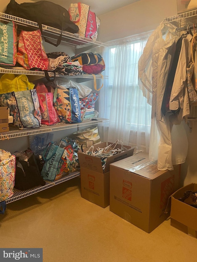 spacious closet with carpet