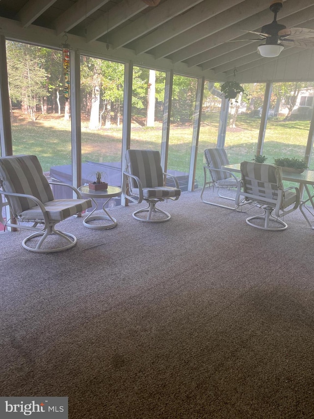 view of patio featuring ceiling fan