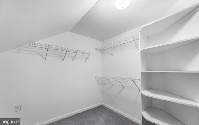 walk in closet with lofted ceiling and dark colored carpet