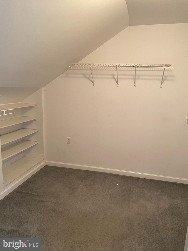 walk in closet featuring vaulted ceiling and carpet flooring