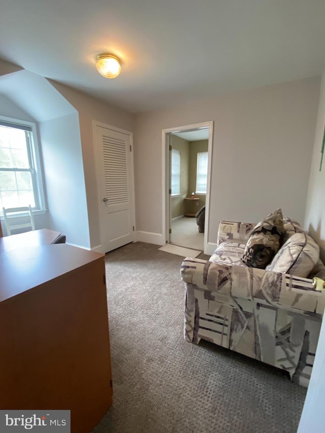 bedroom featuring carpet floors