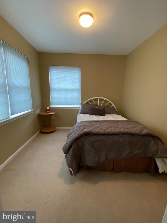 bedroom with carpet