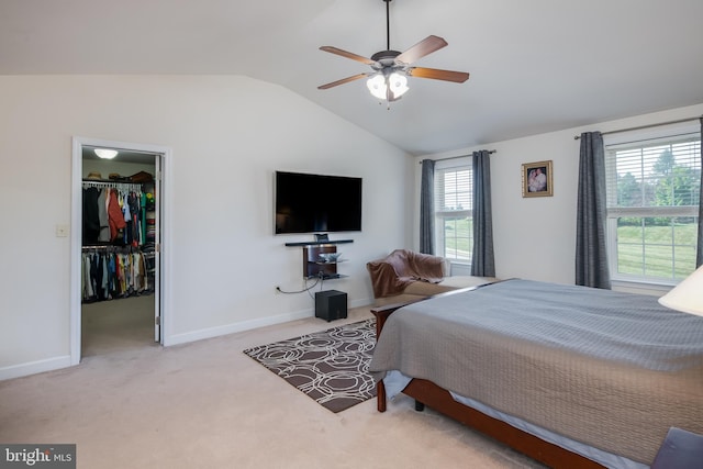 carpeted bedroom featuring ceiling fan, vaulted ceiling, multiple windows, and a walk in closet