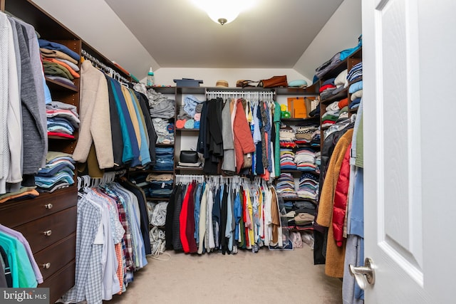 spacious closet featuring carpet floors