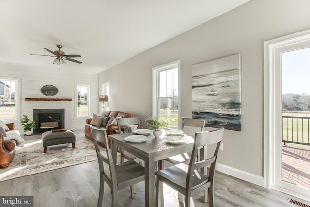 dining area with ceiling fan and light hardwood / wood-style flooring