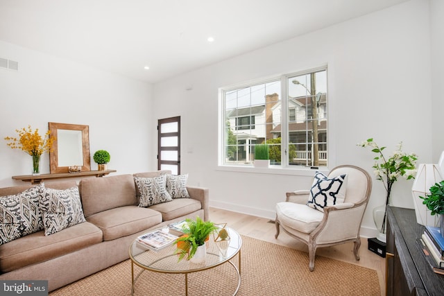 living room featuring light hardwood / wood-style flooring