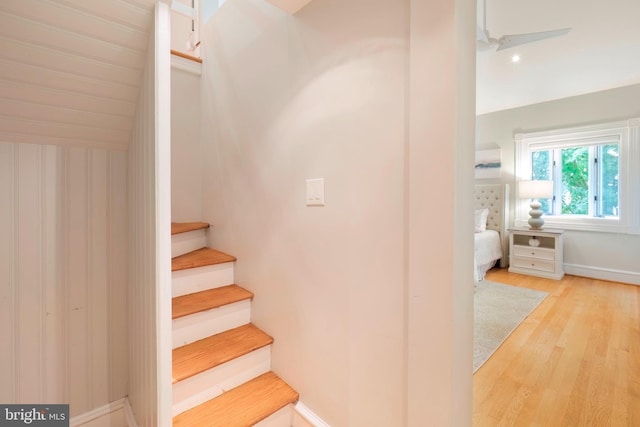 staircase with hardwood / wood-style flooring