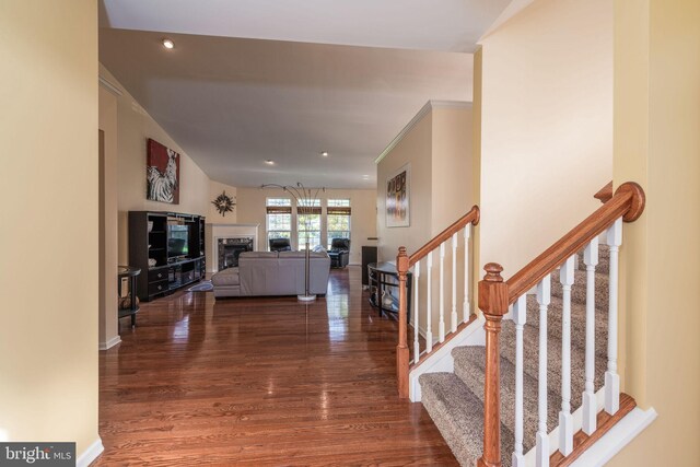 interior space featuring dark hardwood / wood-style flooring