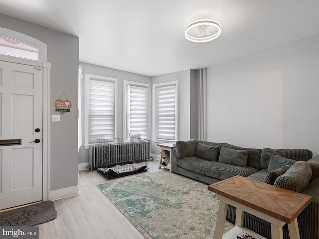 living room featuring light hardwood / wood-style floors