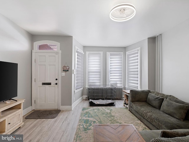 living room featuring light wood-type flooring