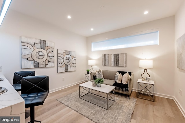 living room featuring light hardwood / wood-style floors