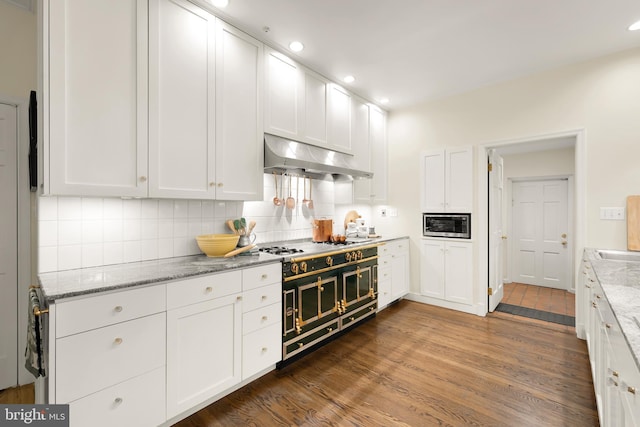 kitchen with light stone counters, white cabinets, stainless steel microwave, and exhaust hood