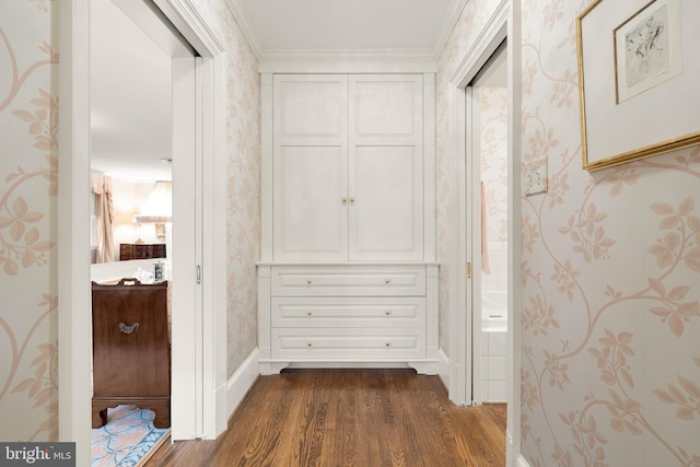 corridor featuring dark hardwood / wood-style floors