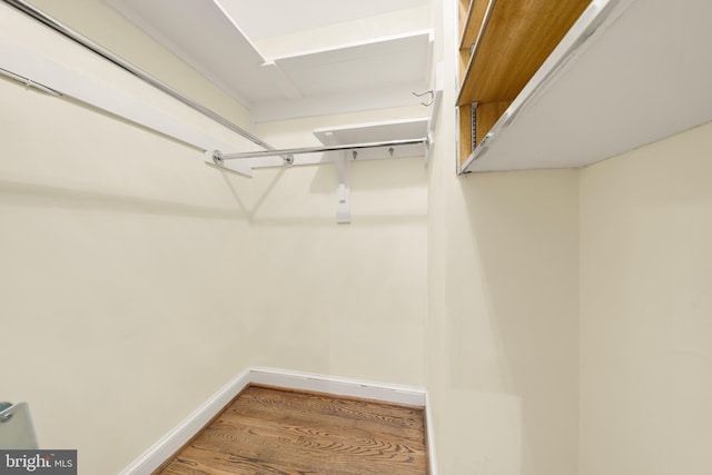 spacious closet featuring hardwood / wood-style flooring