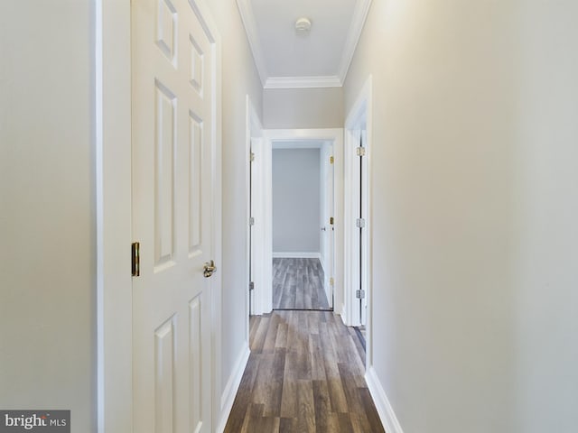 corridor featuring crown molding and dark hardwood / wood-style floors