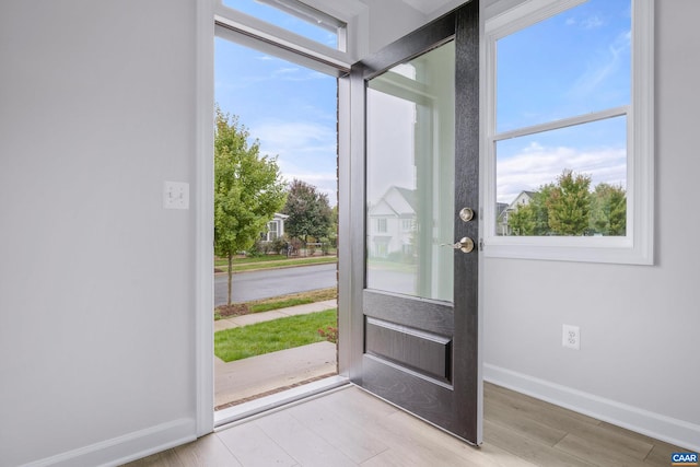 entrance foyer with light hardwood / wood-style flooring