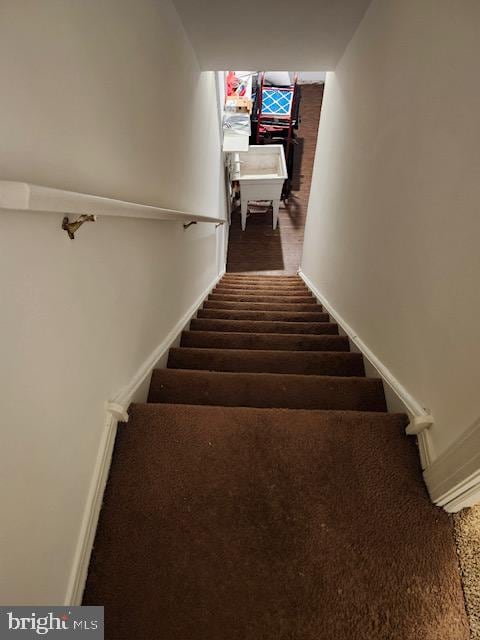 stairs featuring carpet