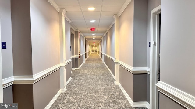 hall featuring a drop ceiling and ornamental molding