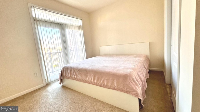 bedroom with carpet floors and multiple windows