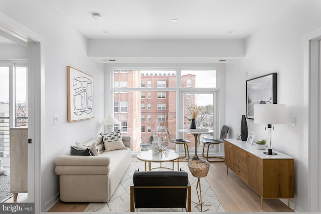 living room with light hardwood / wood-style flooring