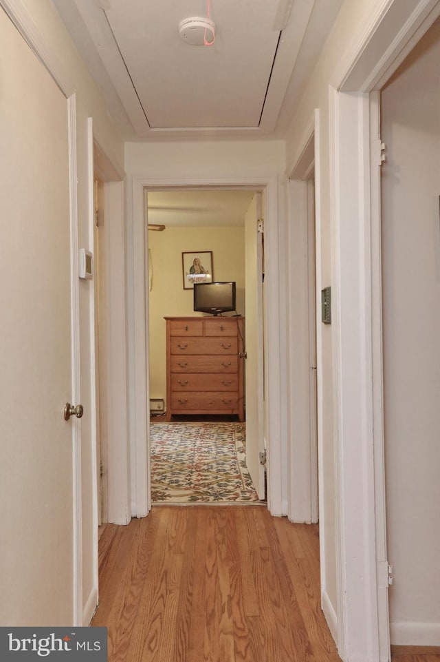 hallway featuring light hardwood / wood-style flooring